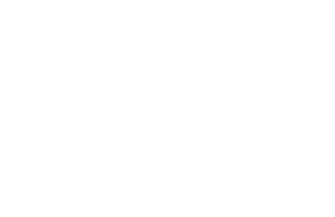 The Galt Group
