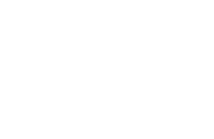Bitlab